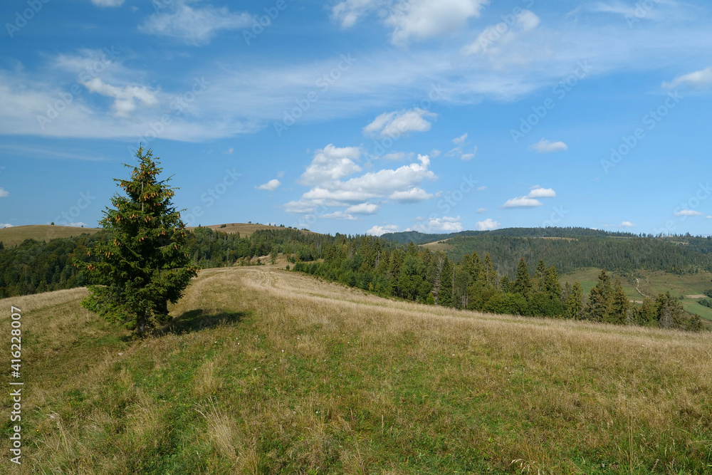 Panorama view of beautiful Carpathian mountains and hills