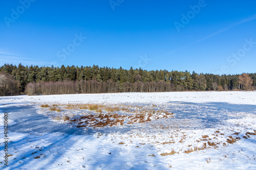Das Rossmoos, ein Niedermoor bei Inchenhofen, Bayern, im Winter