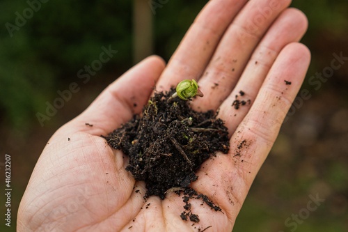 Hand with Soil and Plant Sprout