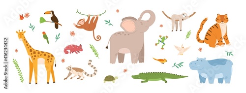 Set of cute jungle animals. Collection of exotic tropical birds, tiger, giraffe, monkey, chameleon and turtle. Childish characters. Colored flat vector illustration isolated on white background
