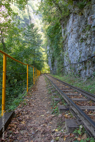 railway in the forest
