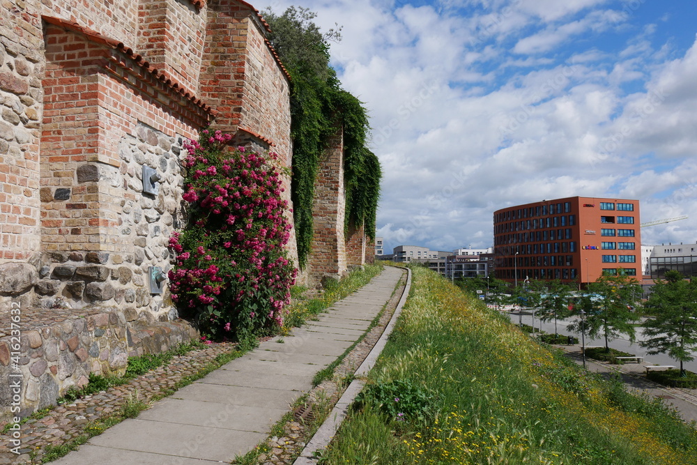 Stadtmauer in Rostock mit karl-planeth-weg