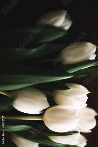 Schilderij op canvas Bouquet of white tulips for March 8