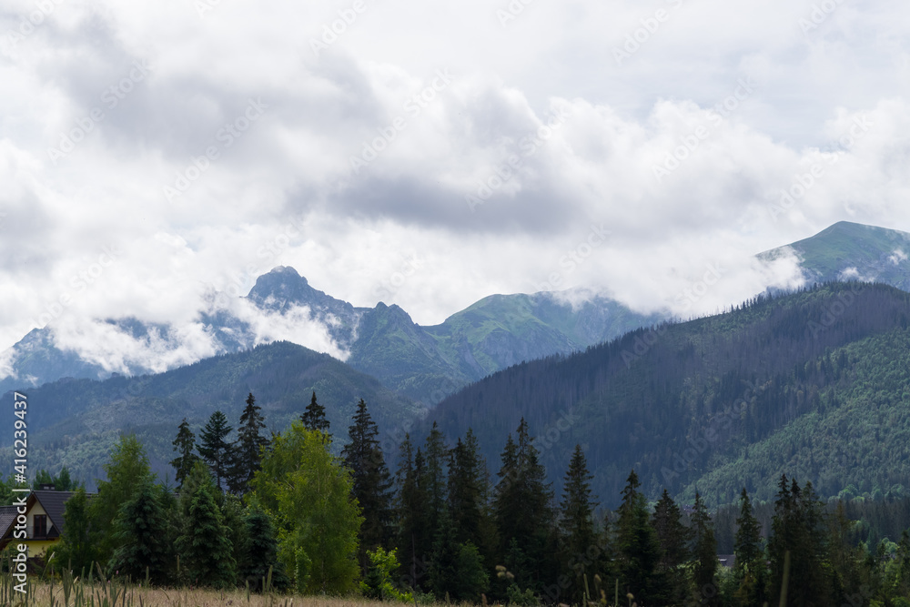 Summer view of the Polish Tatra Mountains