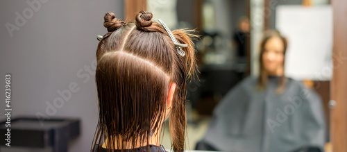 Back view of young brunette woman with split hair in sections in a hair salon