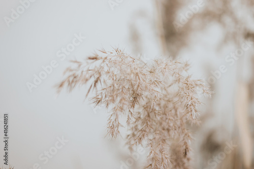 Blurred background of decor space with dry grass and flowers in a retro style photo