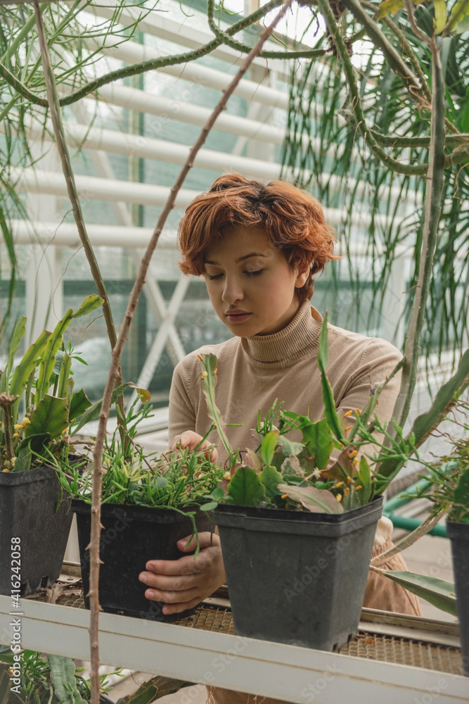 A beautiful plus size young woman takes care of plants green plants in the greenhouse. Cottagecore style A beautiful plus size young woman takes care of plants green plants in the greenhouse. Cottagecore style