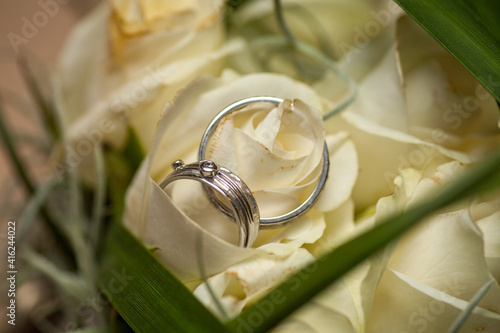 Bride and grooms wedding rings closeup on white rose DOF focus on rings. High quality photo