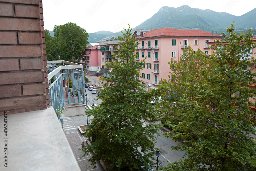 the city from above, the trees and buildings, the mount of Montevergine on the background.