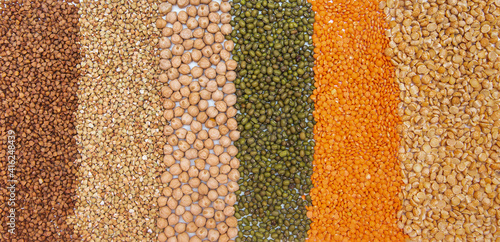 a mixture of cereals chickpeas, peas, lentils, mash, buckwheat laid out in a row on a white background close-up