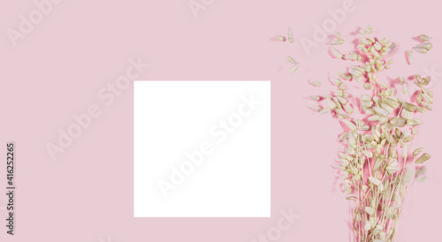 White business card mockup with dried grass decoration on pink table. Topview design, flatlay composition © Marina
