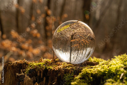 Glass ball / lens ball in the forest on a tree stump