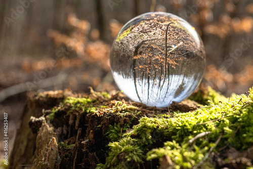 Glass ball   lens ball in the forest on a tree stump