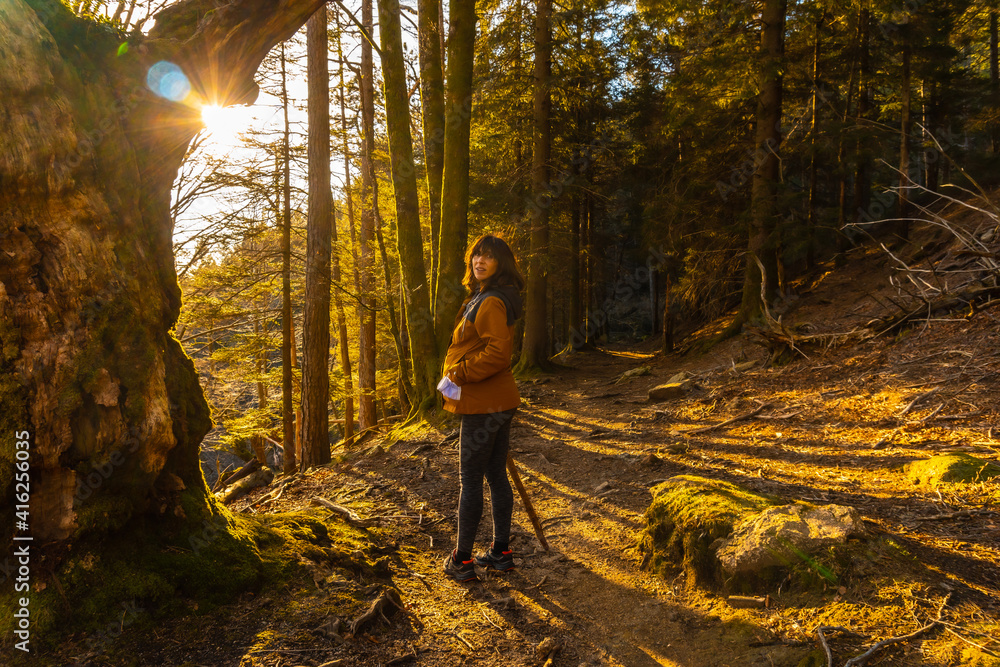 A young woman in a yellow jacket on a trek through the woods one afternoon at sunset. Artikutza forest in Oiartzun, Gipuzkoa. Basque Country A young woman in a yellow jacket on a trek through the woods one afternoon at sunset. Artikutza forest in Oiartzun, Gipuzkoa. Basque Country