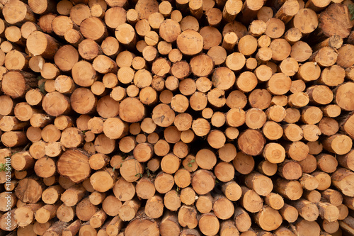 Texture of stacked trunks of trees and pines, felled, cut, by the wood industry, in the forests that surround the slopes of Moncayo, the highest mountain in the Iberian System, in Aragon, Spain.