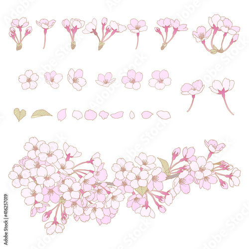 桜のイラスト　セット