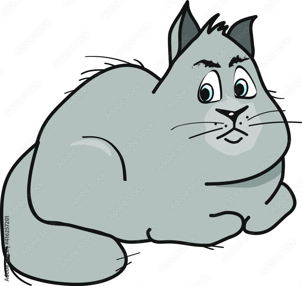 Cute fat grey cat