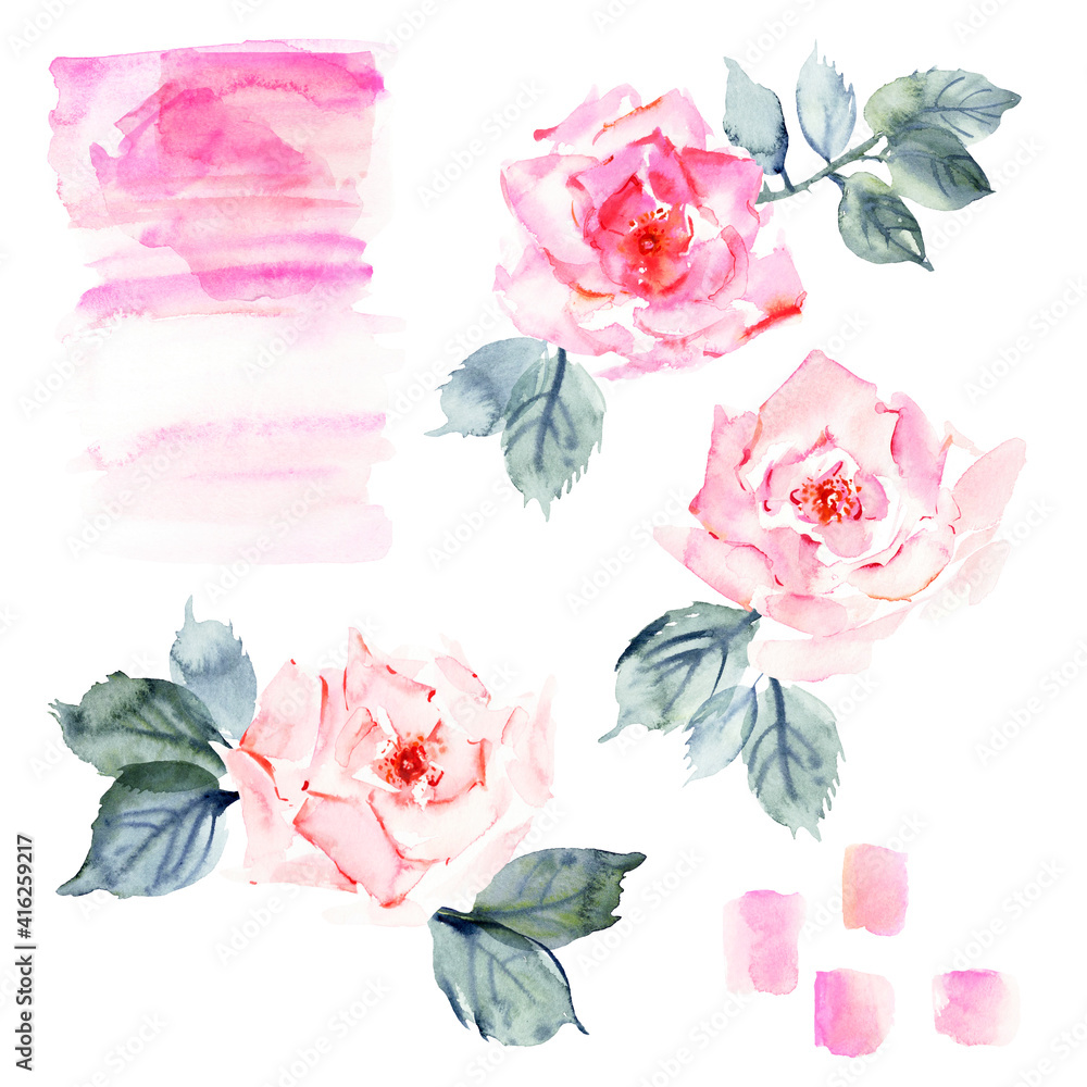 Hand drawn watercolor rose flowers, leaves and branches, pink stains