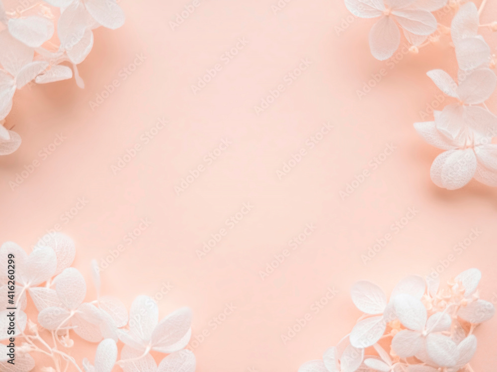 Flowers composition. Frame made of white flowers hydrangea on pink background. Wedding day, mothers day and womens day concept. Flat lay, top view.