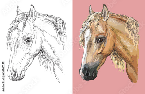 Vector illustration portrait of beautiful welsh pony