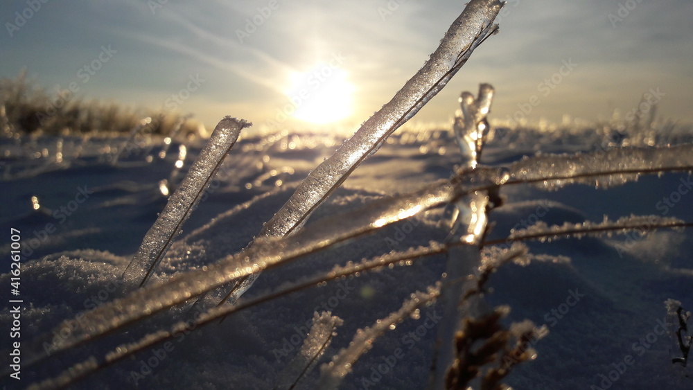 Obraz premium sun in winter