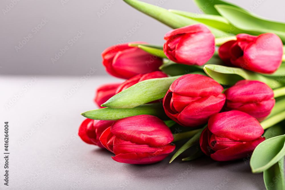 Pink tulips over gray background, Easter. Birthday, mother day greeting card concept with copy space. Pink tulips over gray background, Easter. Birthday, mother day greeting card concept with copy space.