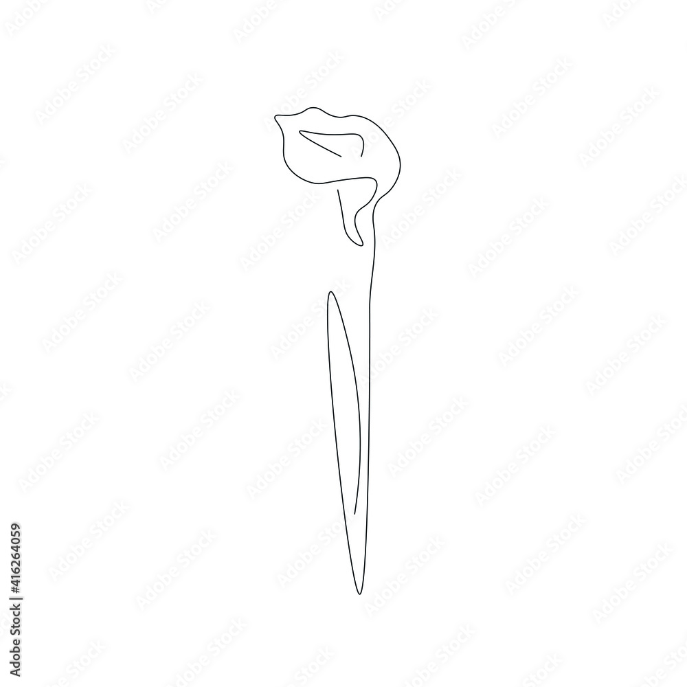 Flower line drawing, vector illustration