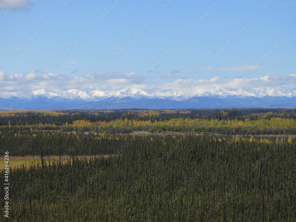Obraz premium the view from the Alaska Route 2 state highway between the Alcan Border and Tok, Alaska, USA, September