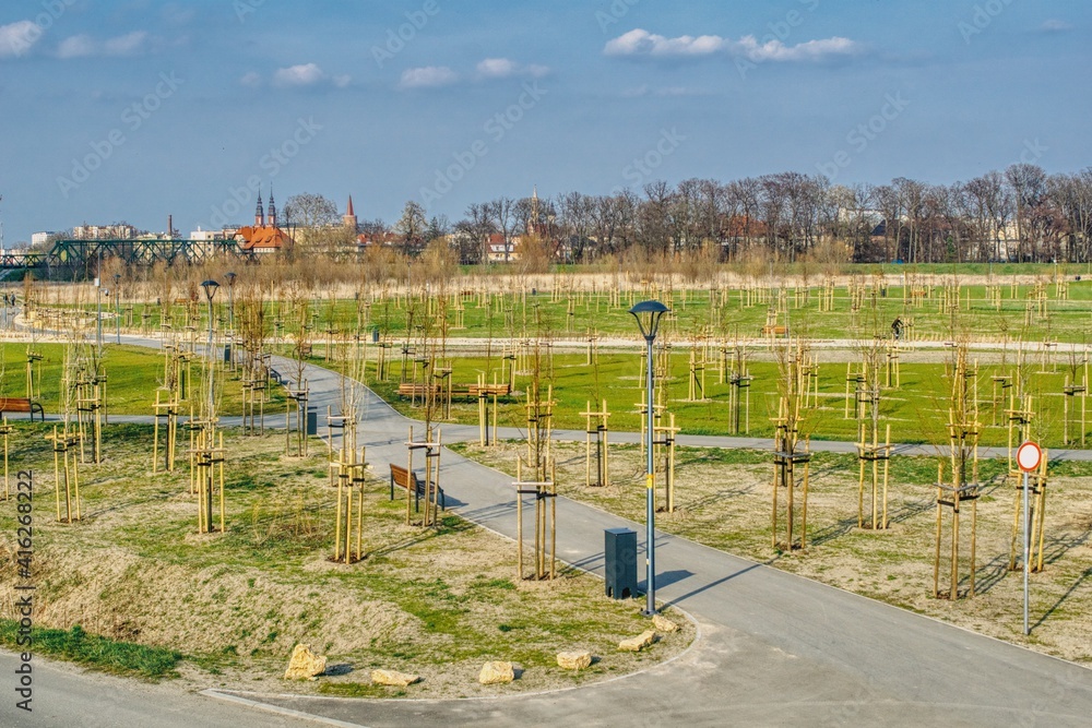 wiosenny widok nowo założonego parku miejskiego w Opolu, młode sadzone drzewa i zielone trawniki, ścieżki spacerowe w parku - obrazy, fototapety, plakaty 