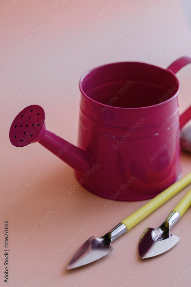 a pink metal watering can and small gardening tools lie on a light background. a bright photo with garden accessories. farming, hobbies, home handwork, growing plants a pink metal watering can and small gardening tools lie on a light background. a bright photo with garden accessories. farming, hobbies, home handwork, growing plants