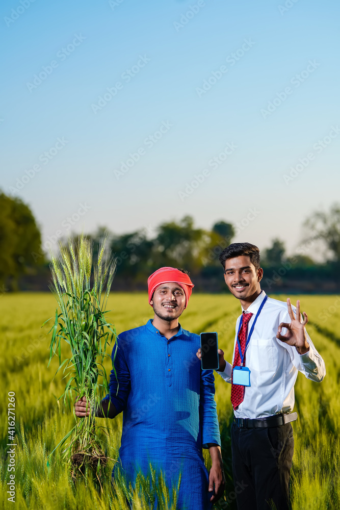 Fototapeta premium Young indian agronomist with farmer at green wheat field