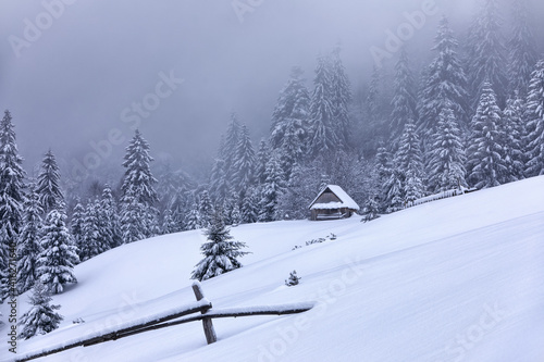 Foggy winter landcscape. Wooden forester's house on the lawn covered with snow. Scenery of high mountains and forests. Wallpaper background. Location place Carpathian, Ukraine, Europe.
