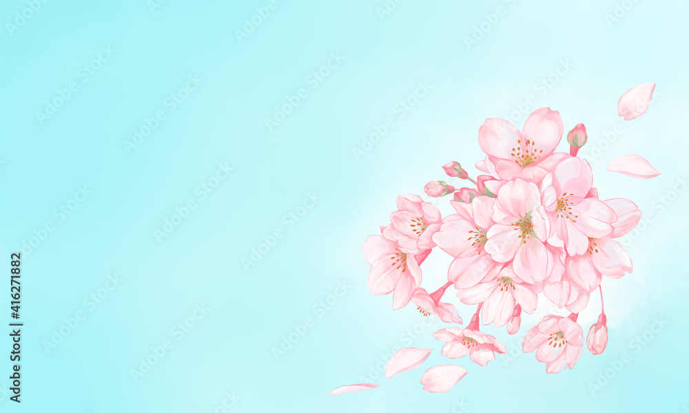 桜と桜の花びら2