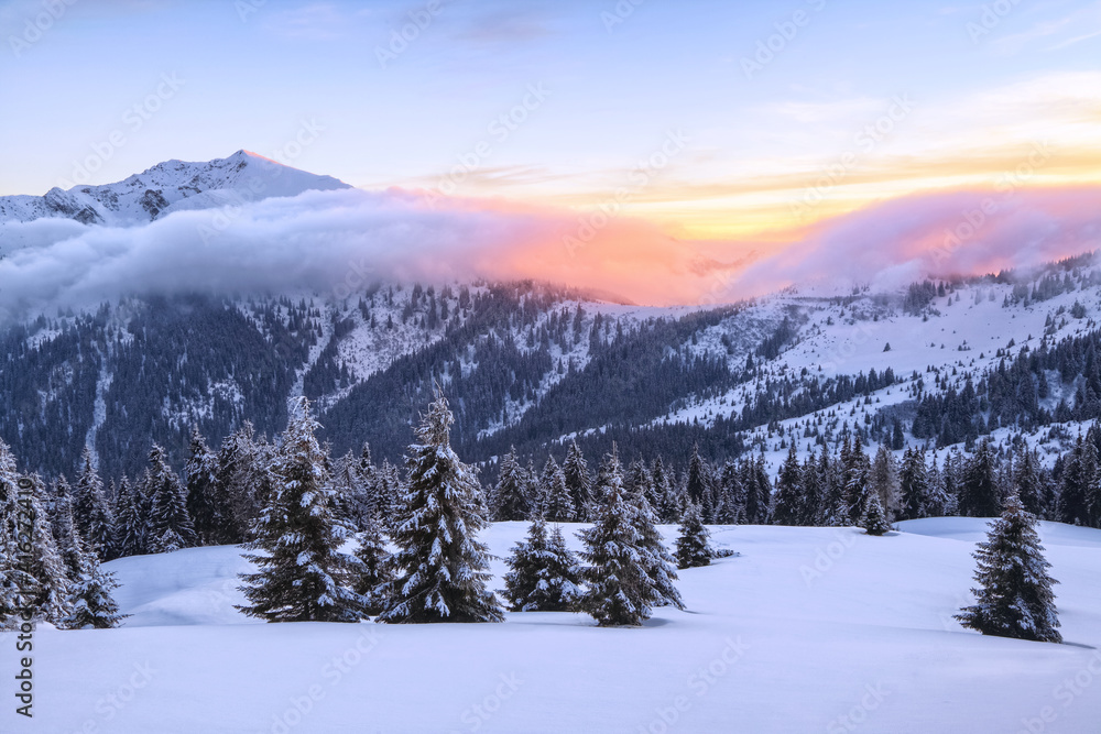 Winter. Aerial view. Amazing sunrise. High mountains with snow white peaks. A panoramic view of the covered with frost trees in the snowdrifts. Natural landscape with beautiful sky.
