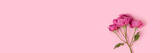 Banner with bunch of rose flowers on a pink background. Springtime concept with copyspace.