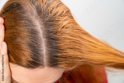 grown after staining the gray roots of hair on the head of a woman. beauty salon and hairdresser.