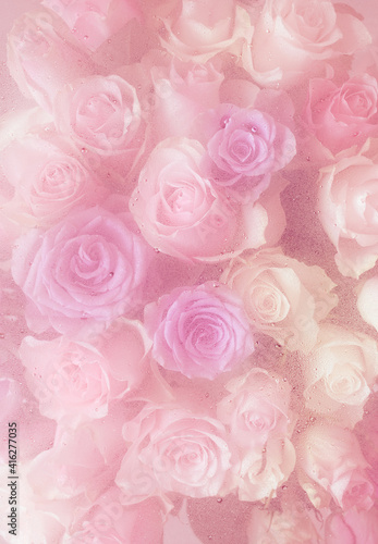 Fototapeta Naklejka Na Ścianę i Meble -  beautiful pink rose flowers through the glass with waterdrops background