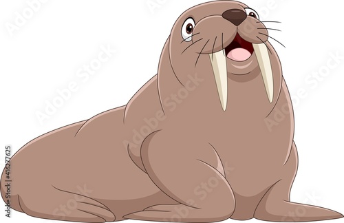 Cartoon walrus isolated on white background