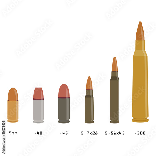 Rifle bullets vector
