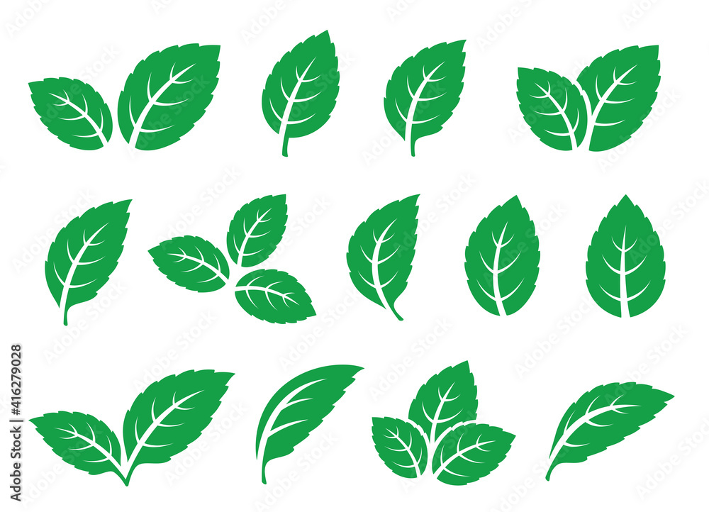 set of green leaves mint tea icons