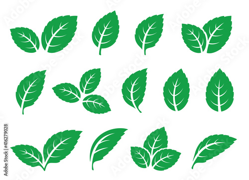 set of green leaves mint tea icons © mallinka1
