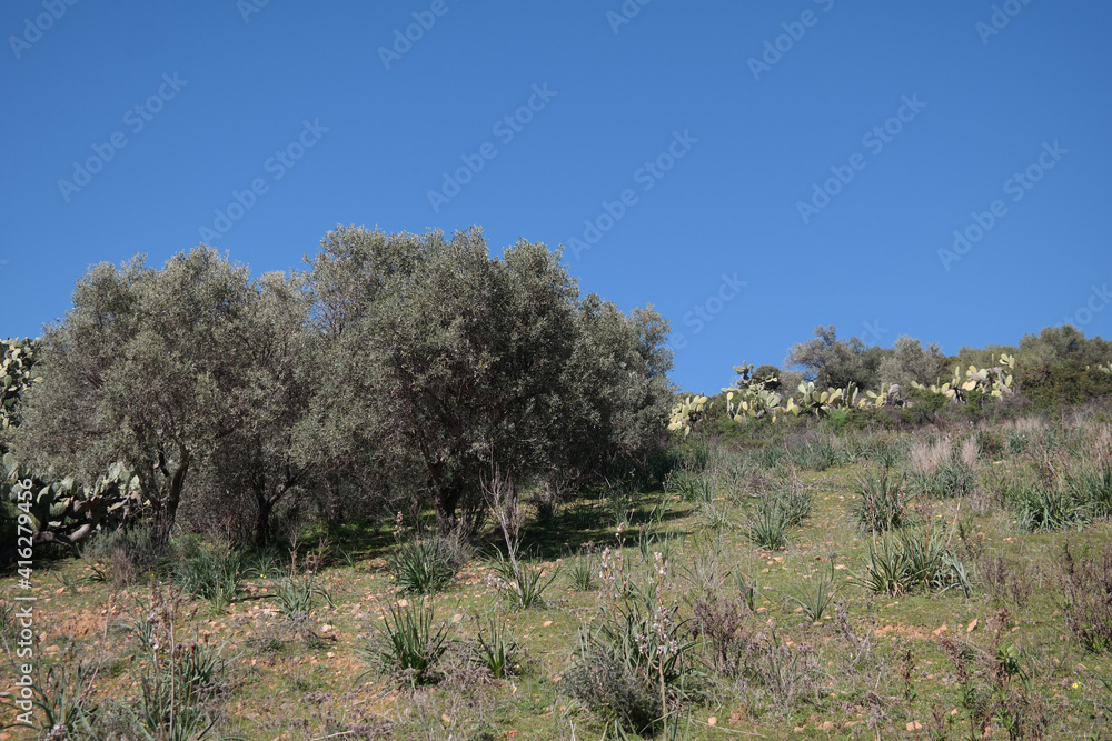 Paesaggio Paesaggio