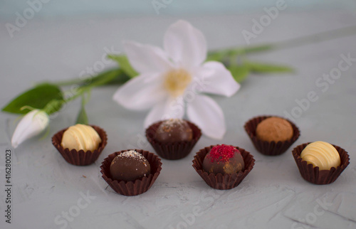 Chocolate cheese truffles, homemade chocolate. Delicious chocolate candies. Group of sweet chocolate truffles on gray background. Selective focus