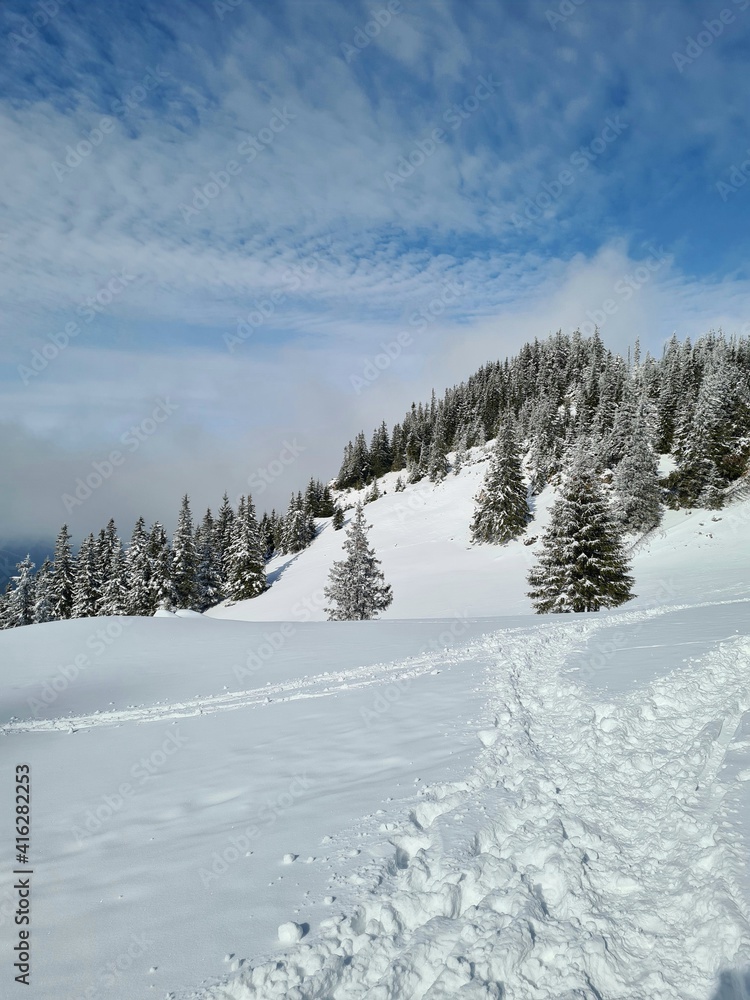 Winter landscape with snow in the top of the mountain