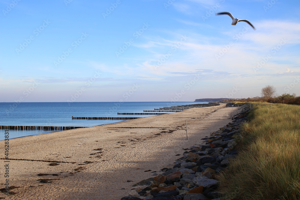 Empty beach at Heiligendamm, Germany. A seagull can be seen in-flight in the foreground Empty beach at Heiligendamm, Germany. A seagull can be seen in-flight in the foreground