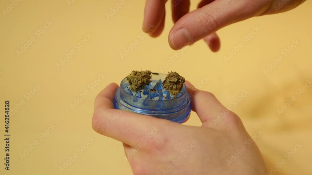 Close up cannabis bud grinder. Holding marijuana smoking accessories video Close up cannabis bud grinder. Holding marijuana smoking accessories video