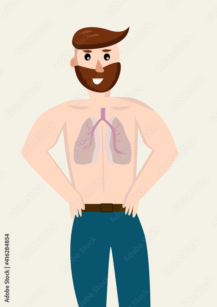 Fototapeta premium human anatomy