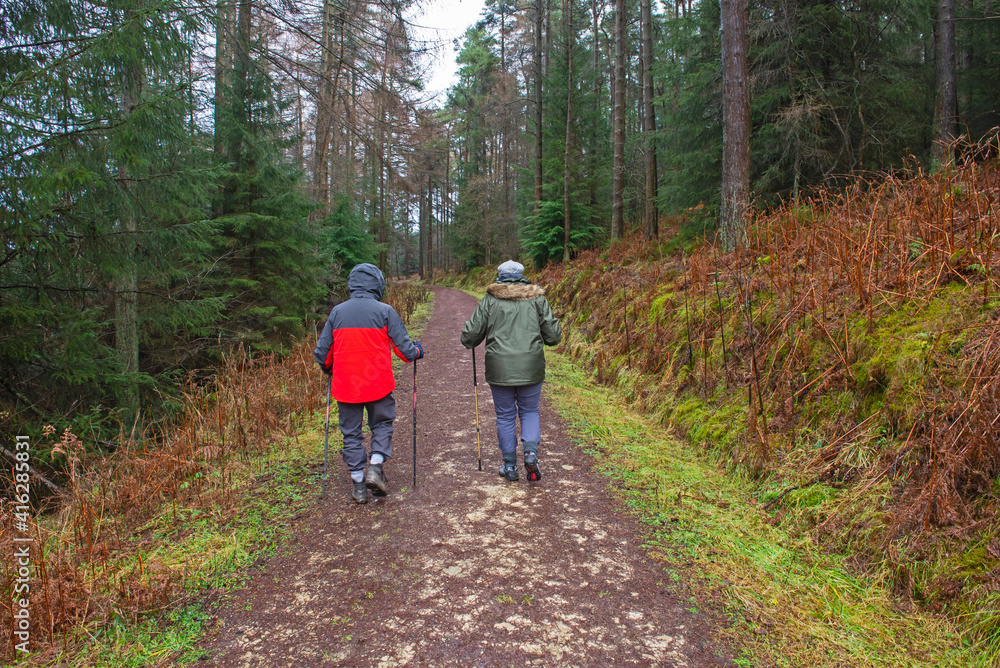 Couple walking on footpath through rural countryside woodland