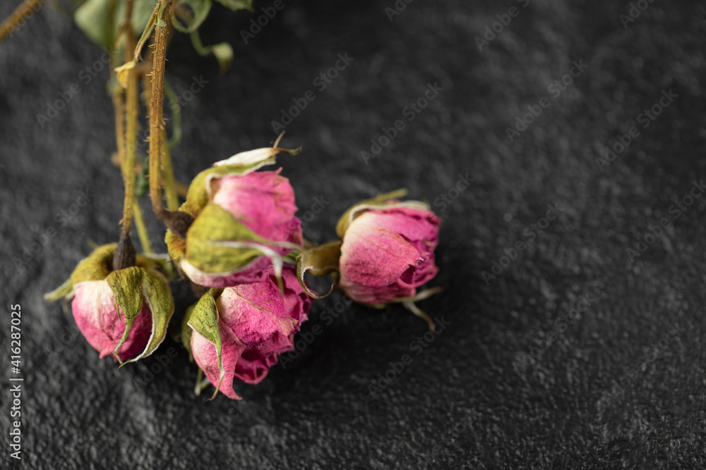 Dried roses flower on a black background