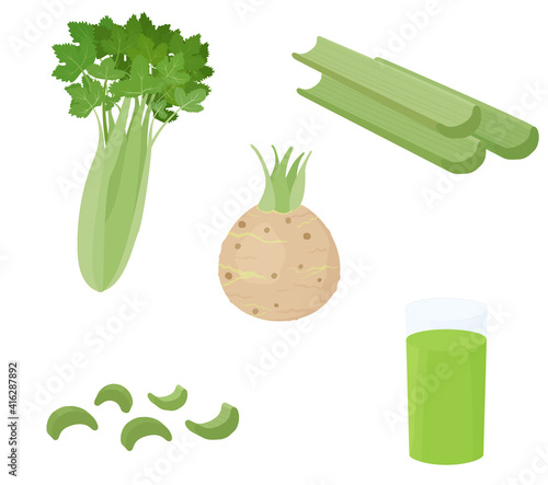 Green celery vegetable stalks and root isolated on white background. Healthy dietic colorful food ingredient vector cartoon illustration.
